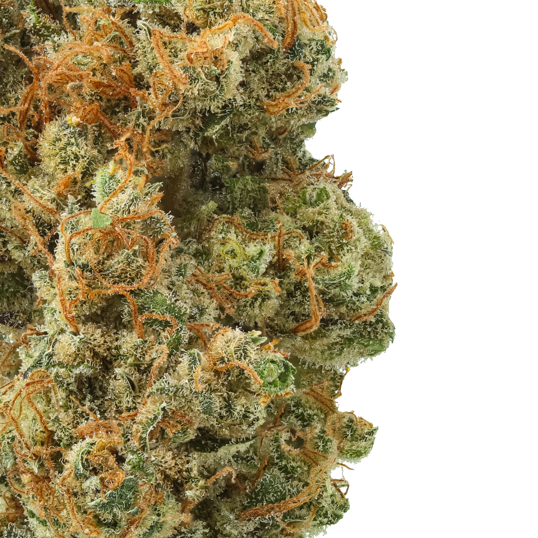 Acapulco Gold