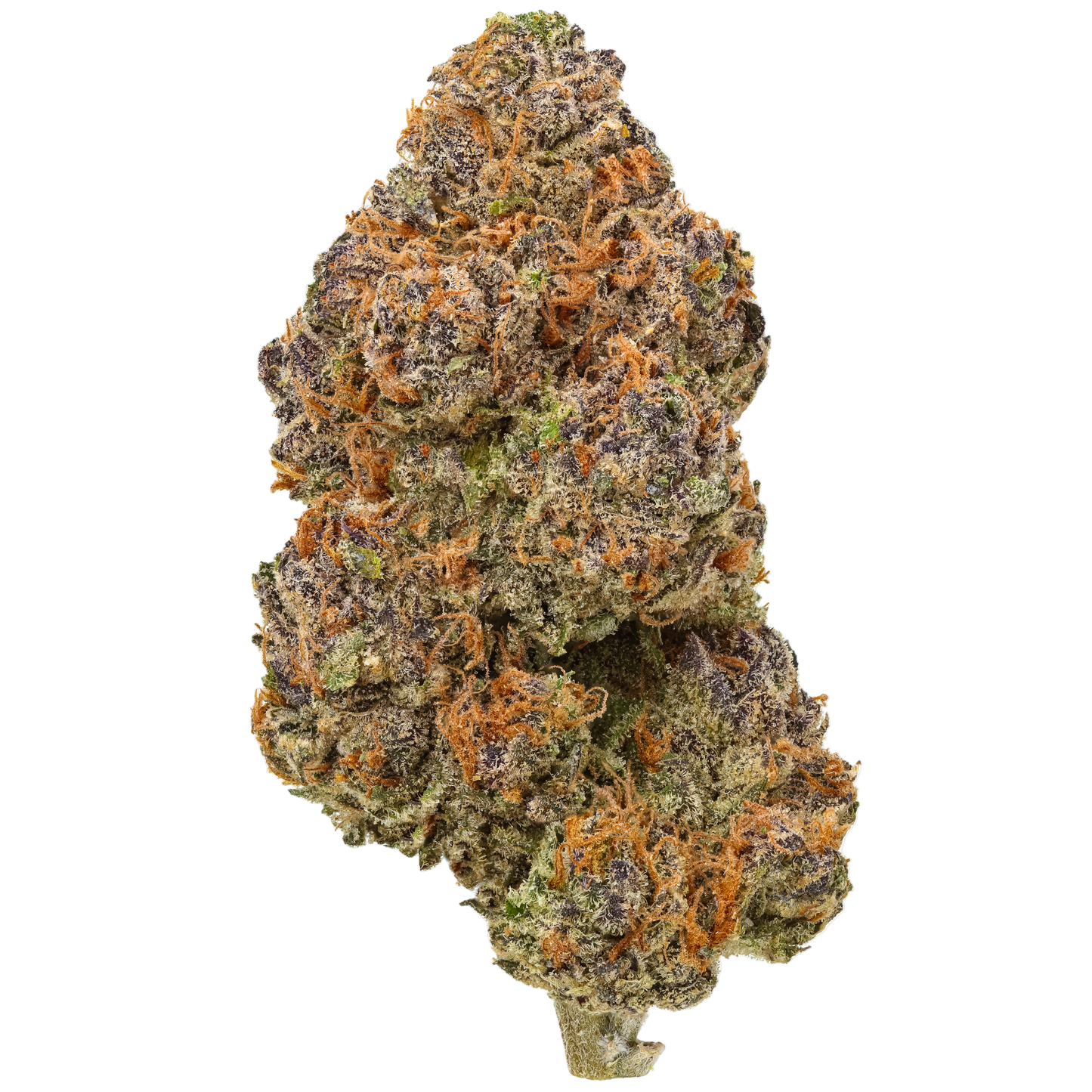 Bananaconda