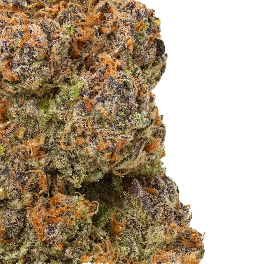 Close-up cannabis bud with orange hairs, purple and green hues, dense trichomes