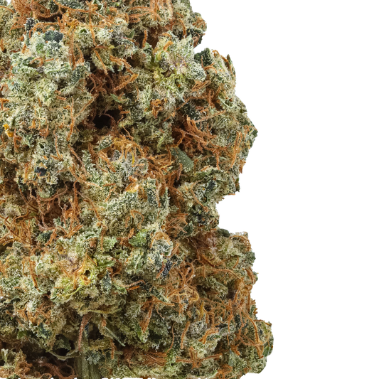 Close-up of Banana Yak cannabis bud with frosty trichomes and orange hairs