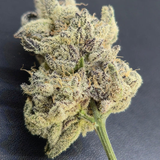 Slightly Seeded Flower