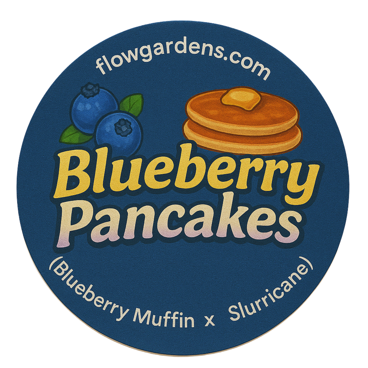 Blueberry Pancakes: Small Batch