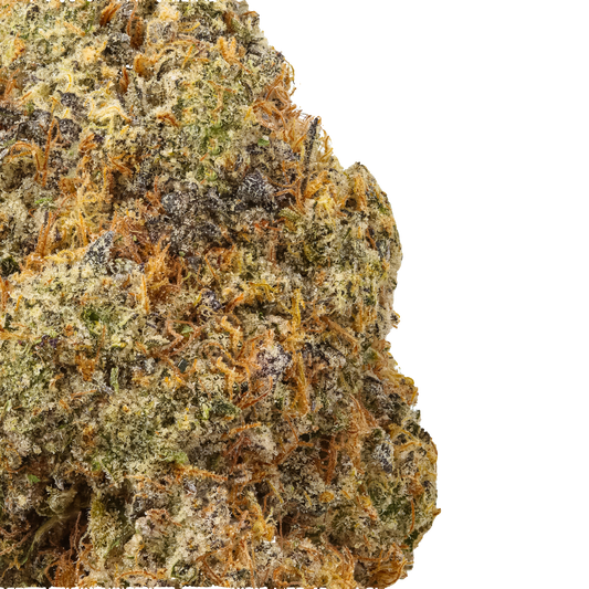 Brain Candy