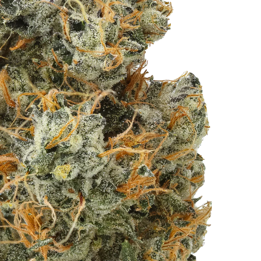 Macro close-up of Bubblegum x Chem cannabis bud with orange hairs and frosty trichomes