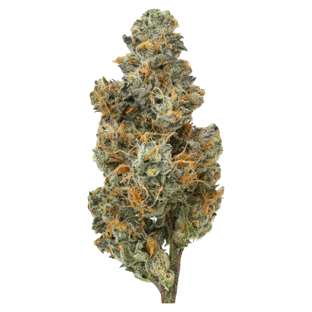 Bubblegum Chem (Caps Cut)