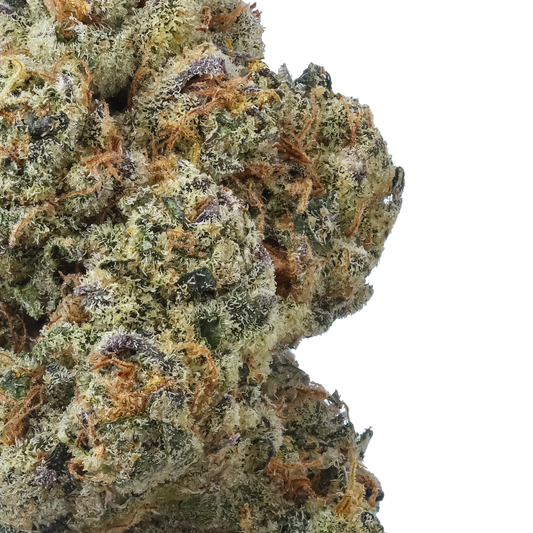 Coconut Cream