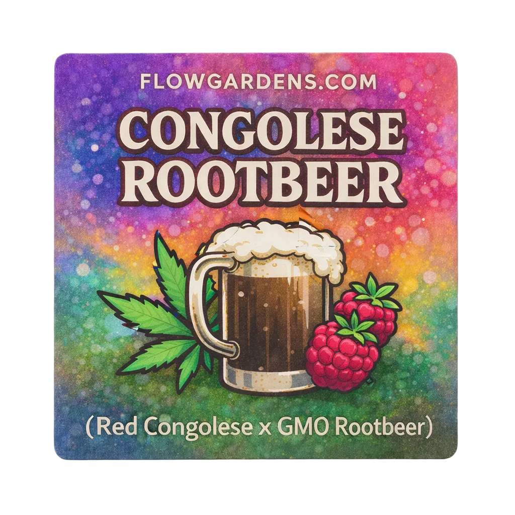 Congolese Rootbeer: Small Batch