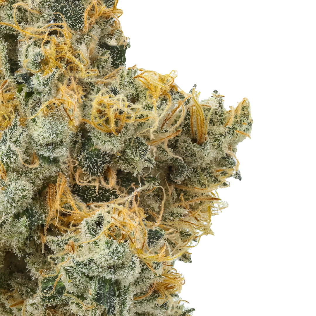 Coolio (Caps Cut)