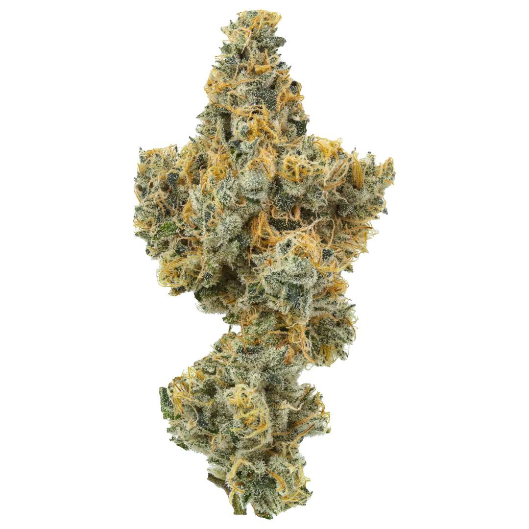 Coolio (Caps Cut)