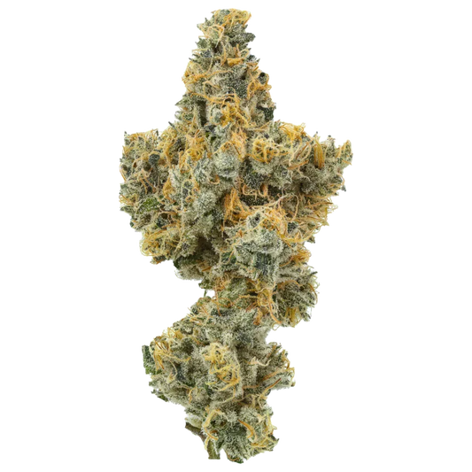 Close-up cannabis bud with orange hairs and trichomes on white background