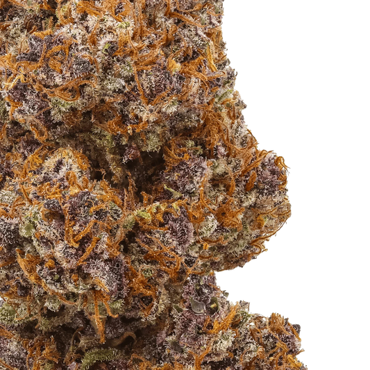 Close-up of colorful cannabis bud with purple hues and orange hairs on green background