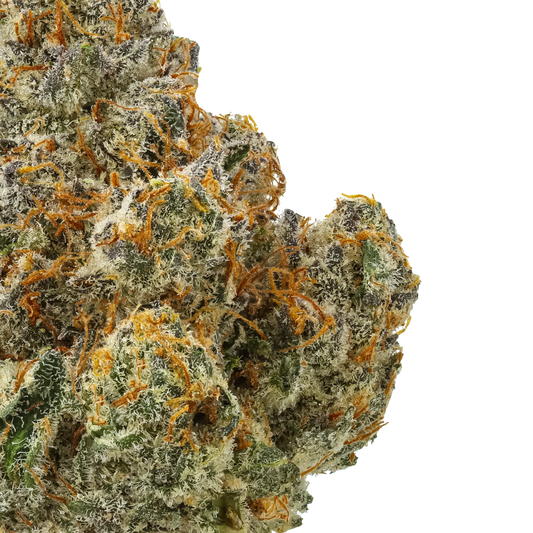 Close-up of frosty cannabis bud with orange hairs on black background