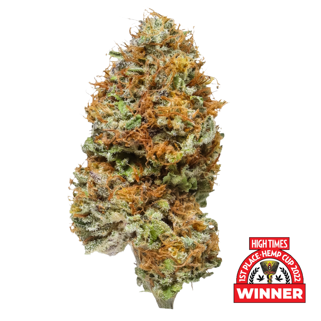 Blue Cheese #12
