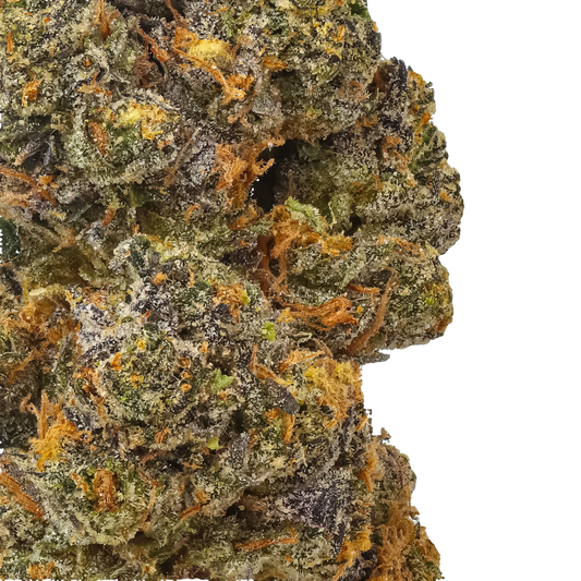 Gelato 41 (G41)