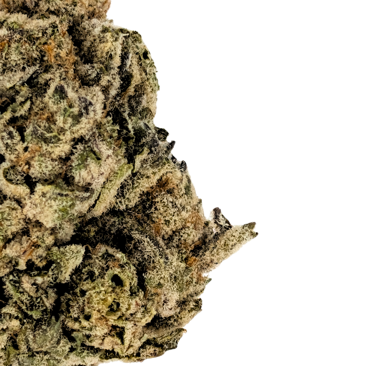GG4 (Gorilla Glue #4)