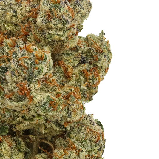 Close-up of frosty cannabis bud with orange hairs and green trichomes on black background