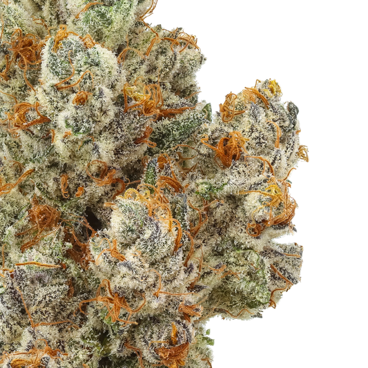 Close-up of a cannabis bud with orange trichomes