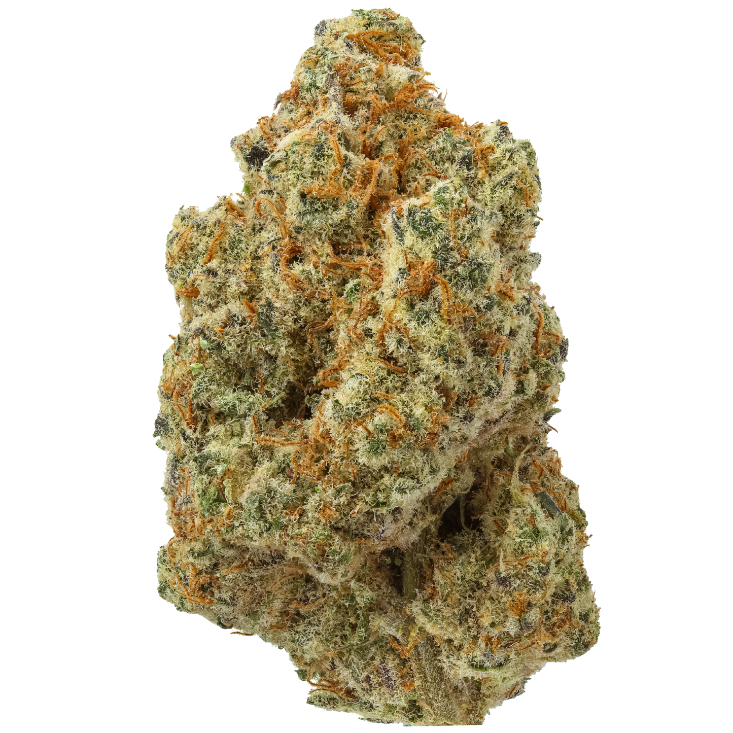 Lemon Biscuit