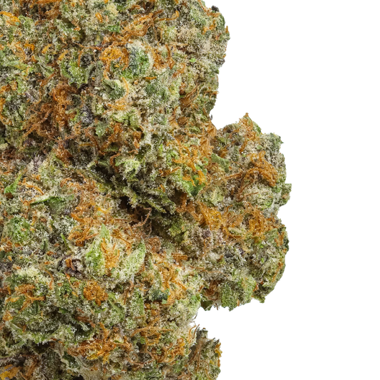 Close-up of Lemon Cherry Gelato cannabis bud with frosty trichomes and orange hairs