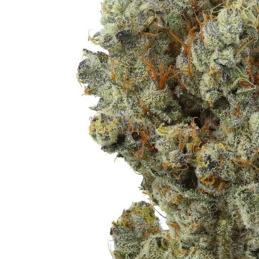 Close-up of frosty Lemon Cherry Sherb cannabis bud with orange hairs on black background