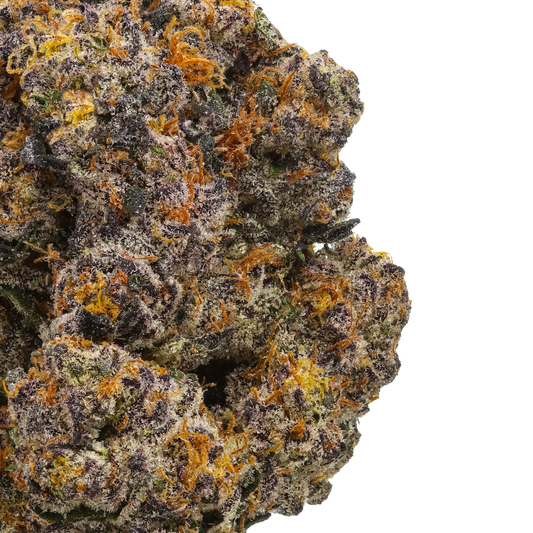 Close-up of colorful cannabis bud with purple, orange, and green trichomes