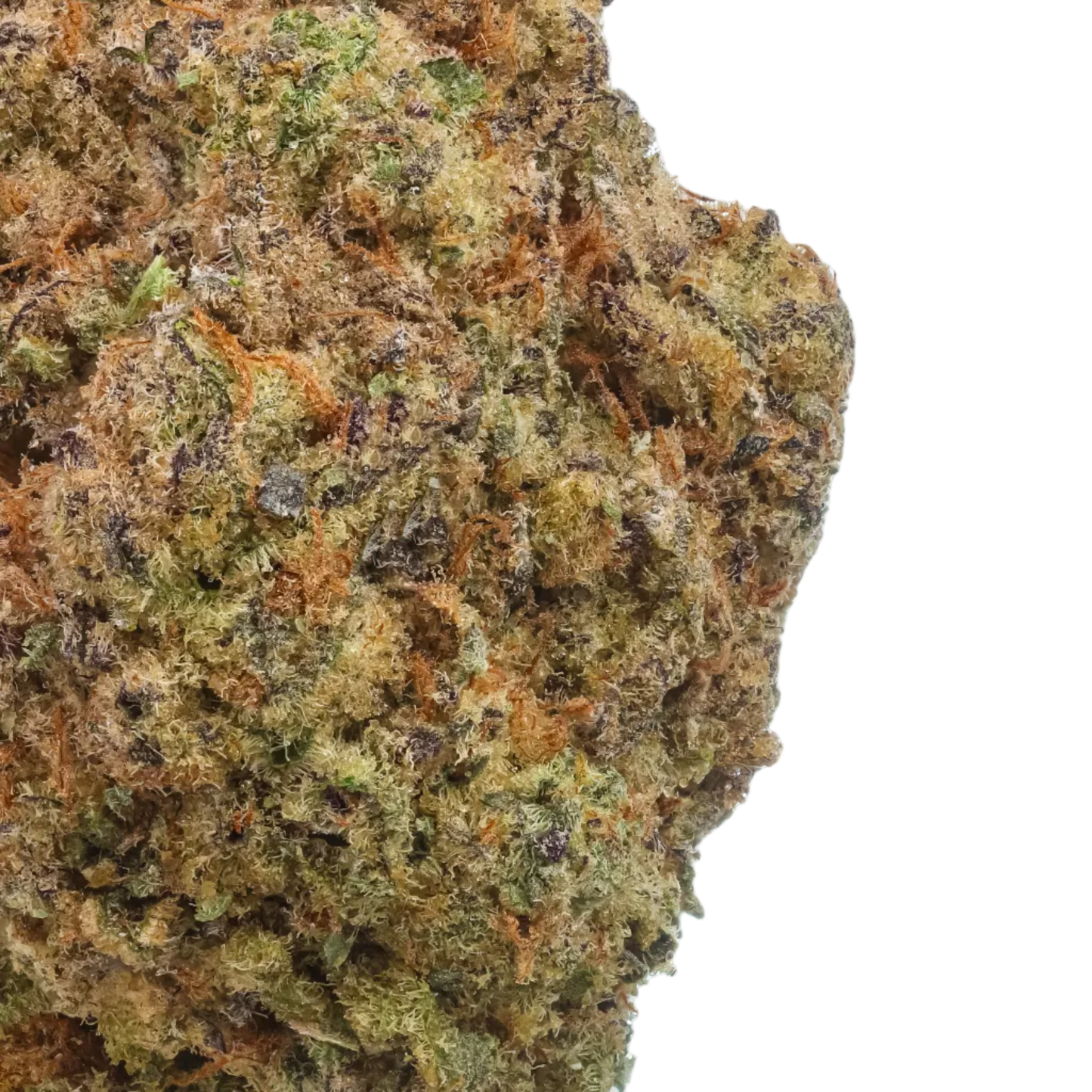 Maui Wowie