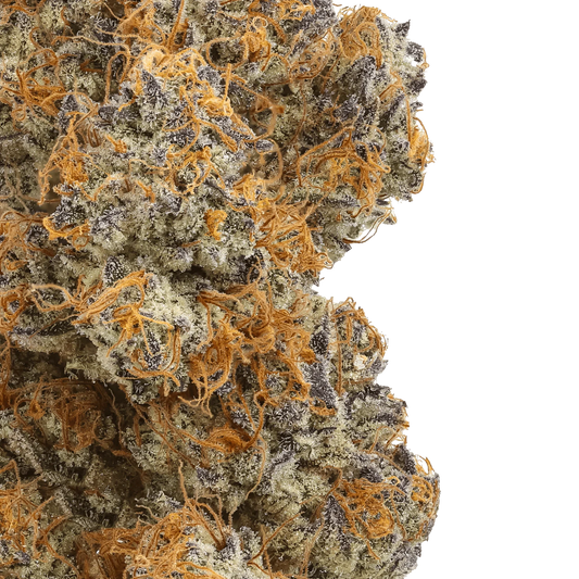 Close-up of frosty cannabis bud with orange hairs and purple highlights on green background