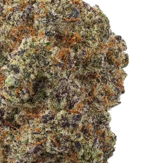 Close-up of Pink Lemonade cannabis bud with trichomes, purple hues, and orange hairs