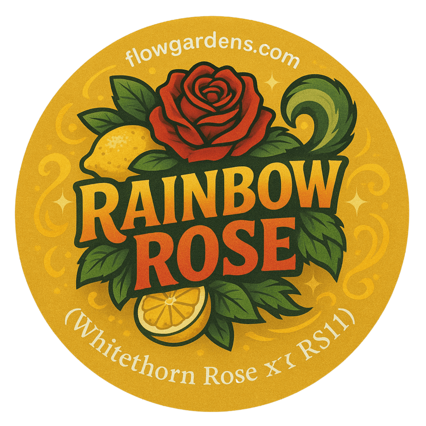 Rainbow Rose : Small Batch