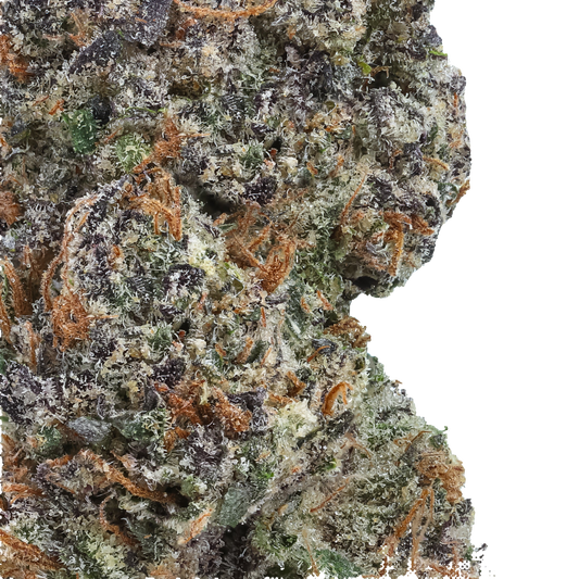 Close-up of a cannabis bud with trichomes