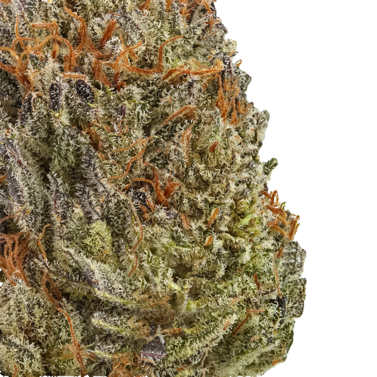 Close-up of frosty cannabis bud with orange hairs and green trichomes on black background