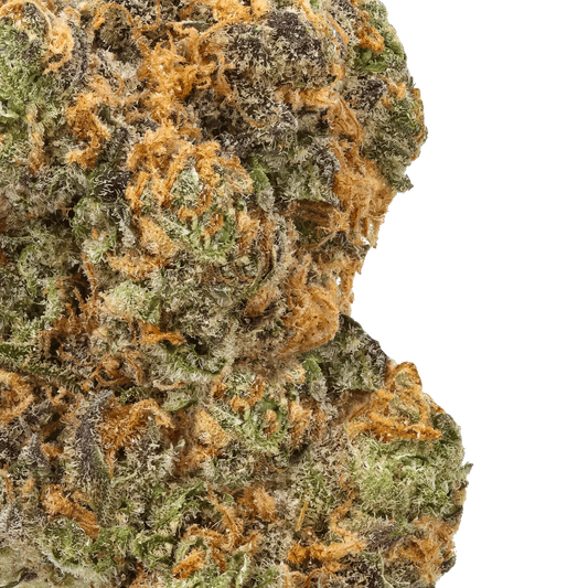 Close-up of Strawberry Gary cannabis bud with frosty trichomes and orange hairs