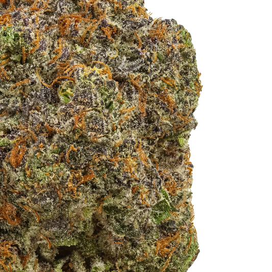 Closeup of frosty Tres Leche cannabis flower with purple, green, and orange hairs