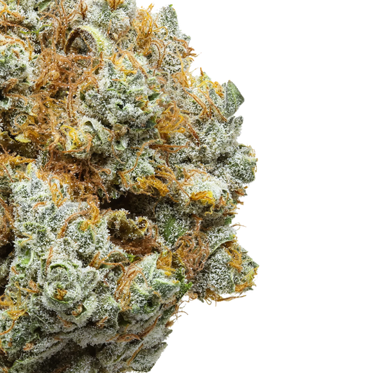 Close-up of frosty cannabis bud with orange hairs and crystals on a black background