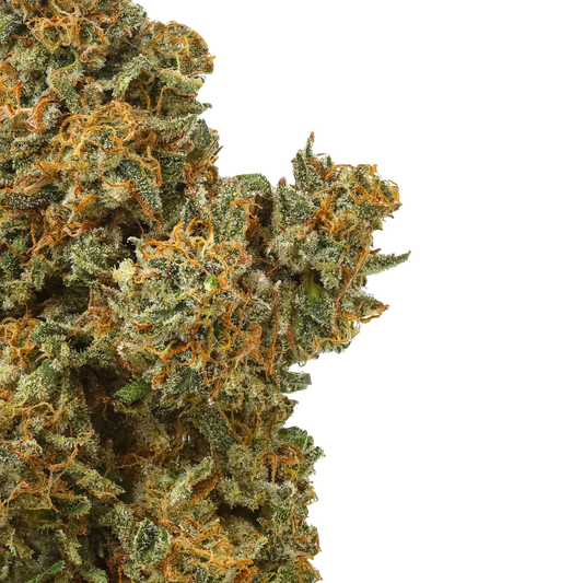 Close-up cannabis bud with orange hairs and frosty trichomes on black background