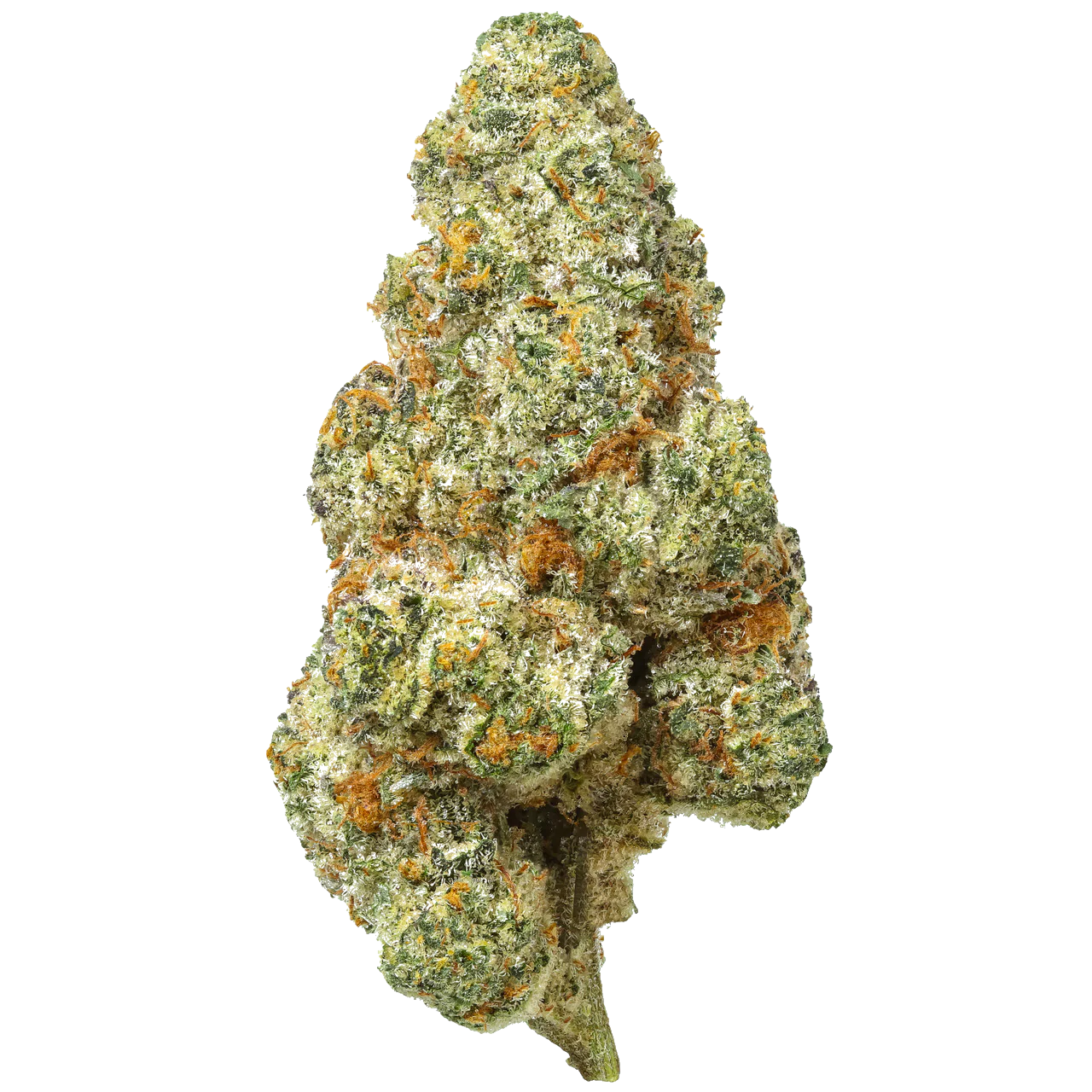 Bacio Gelato