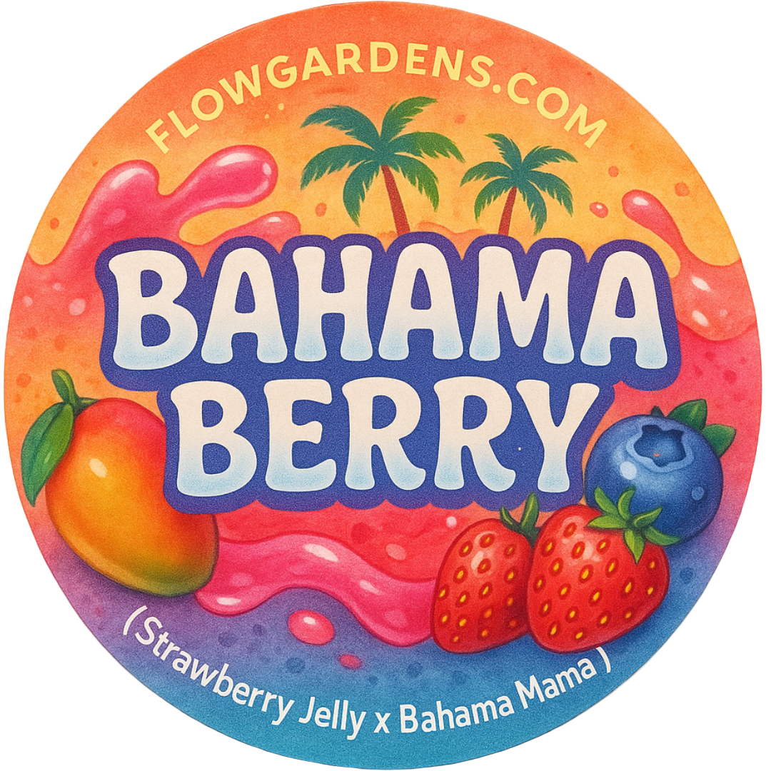 Round label for Bahama Berry with colorful design and text