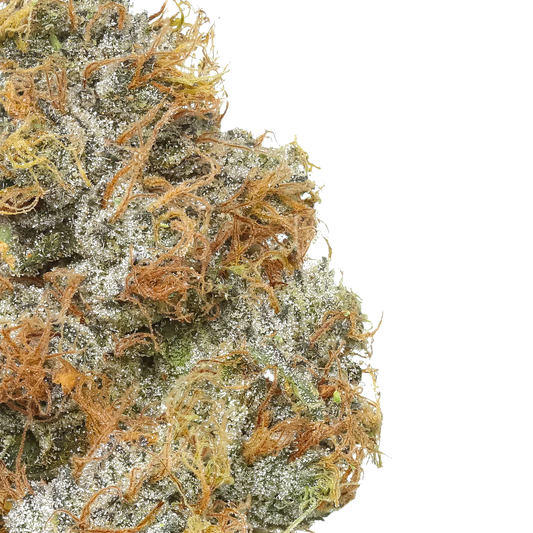 Close-up of frosty cannabis bud with orange hairs and green crystals on white background