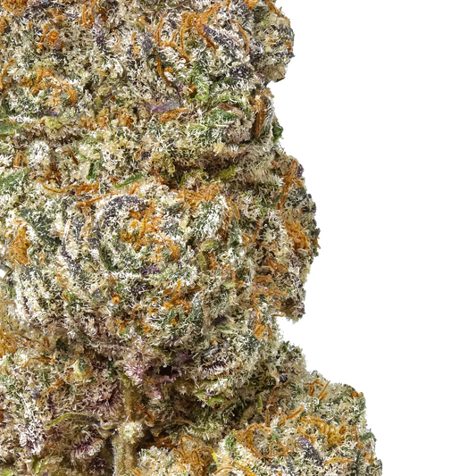 Close-up of frosty cannabis bud with orange hairs and green purple hues on white background