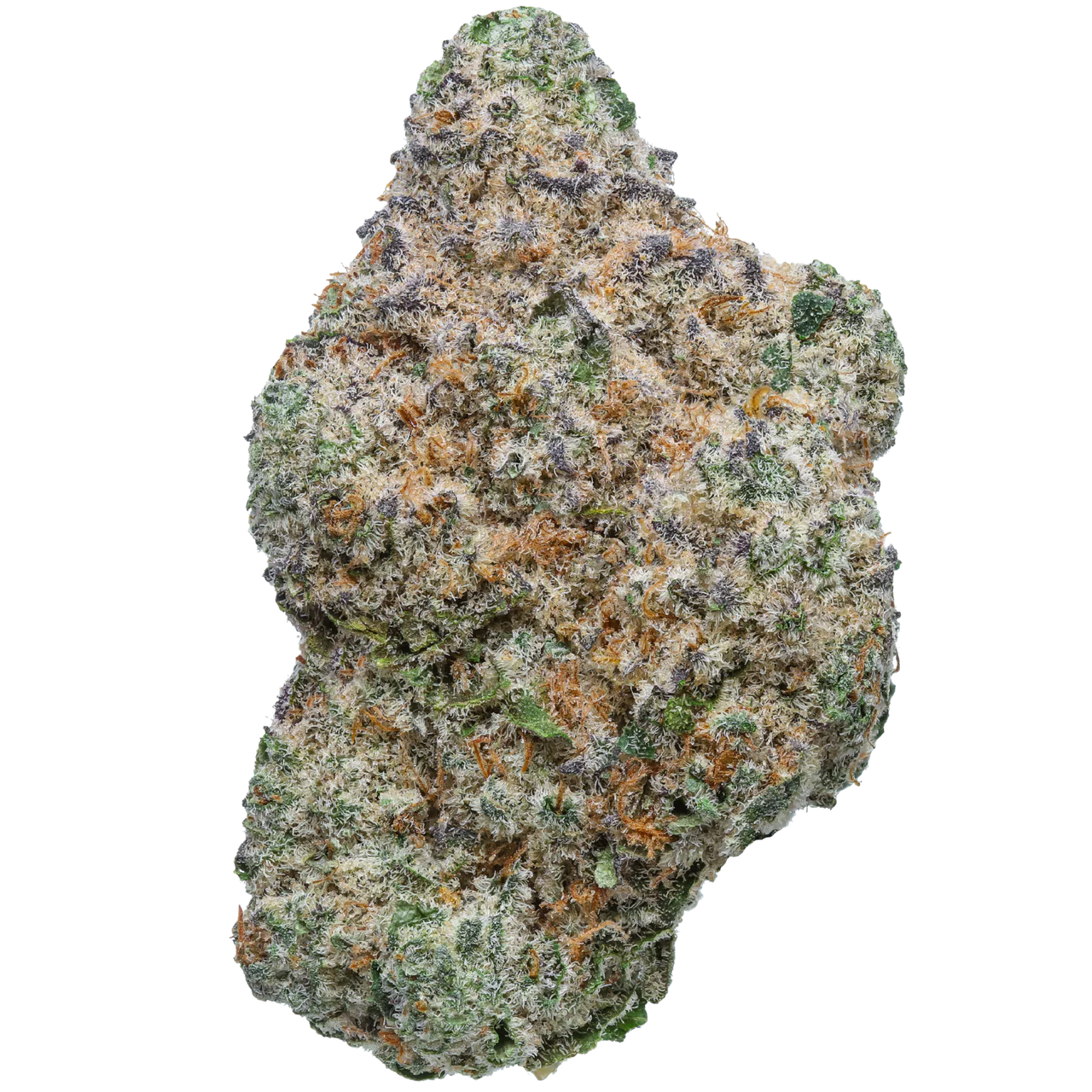Black Ice