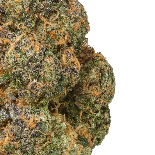 Close-up of cannabis bud with vibrant orange hairs and green, purple trichomes