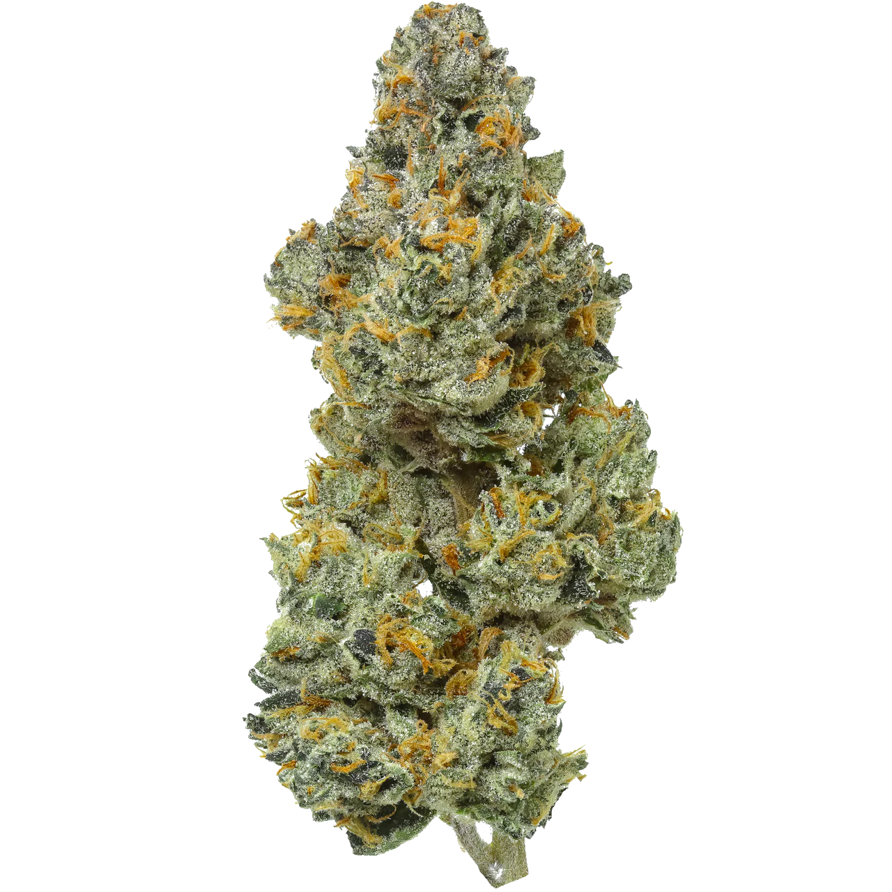 Bleu Runtz