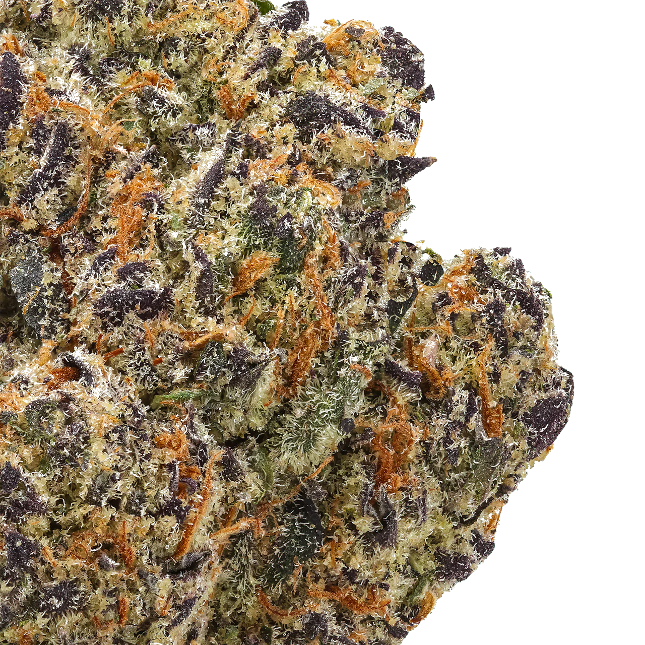 Blueberry Pancake