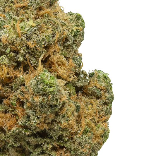 Close-up of Blue Dream cannabis bud with green, orange, and frosty trichomes on white background.