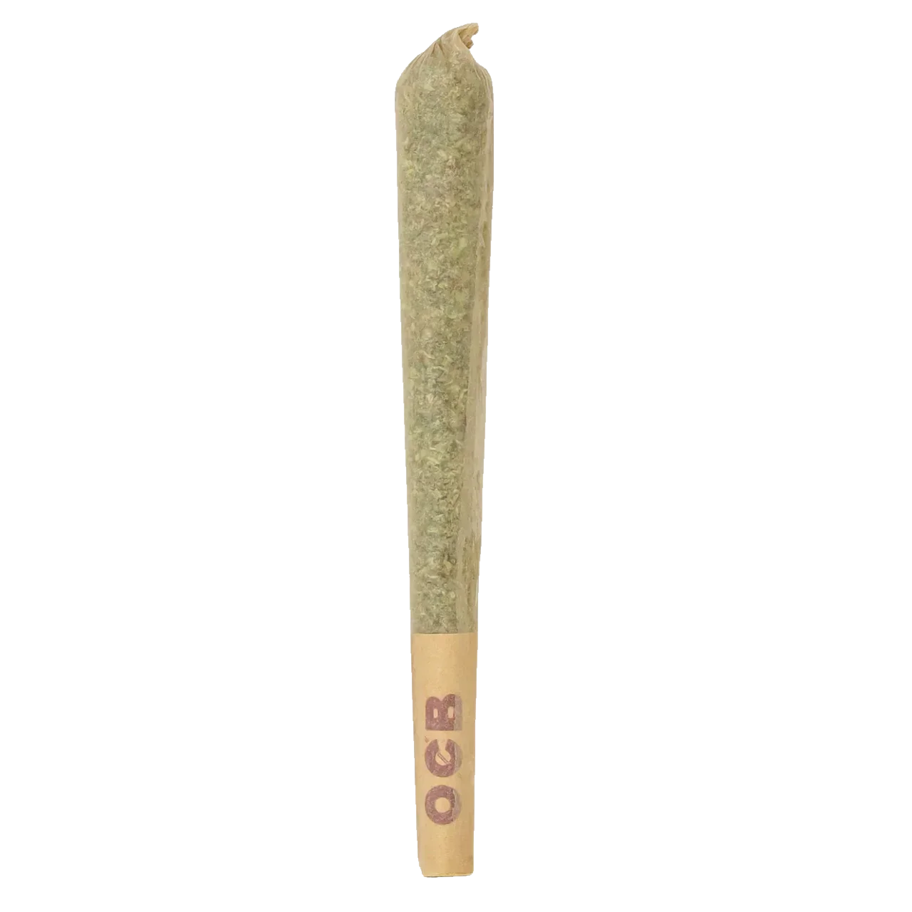 Single cannabis pre-roll joint with OCB filter on white background
