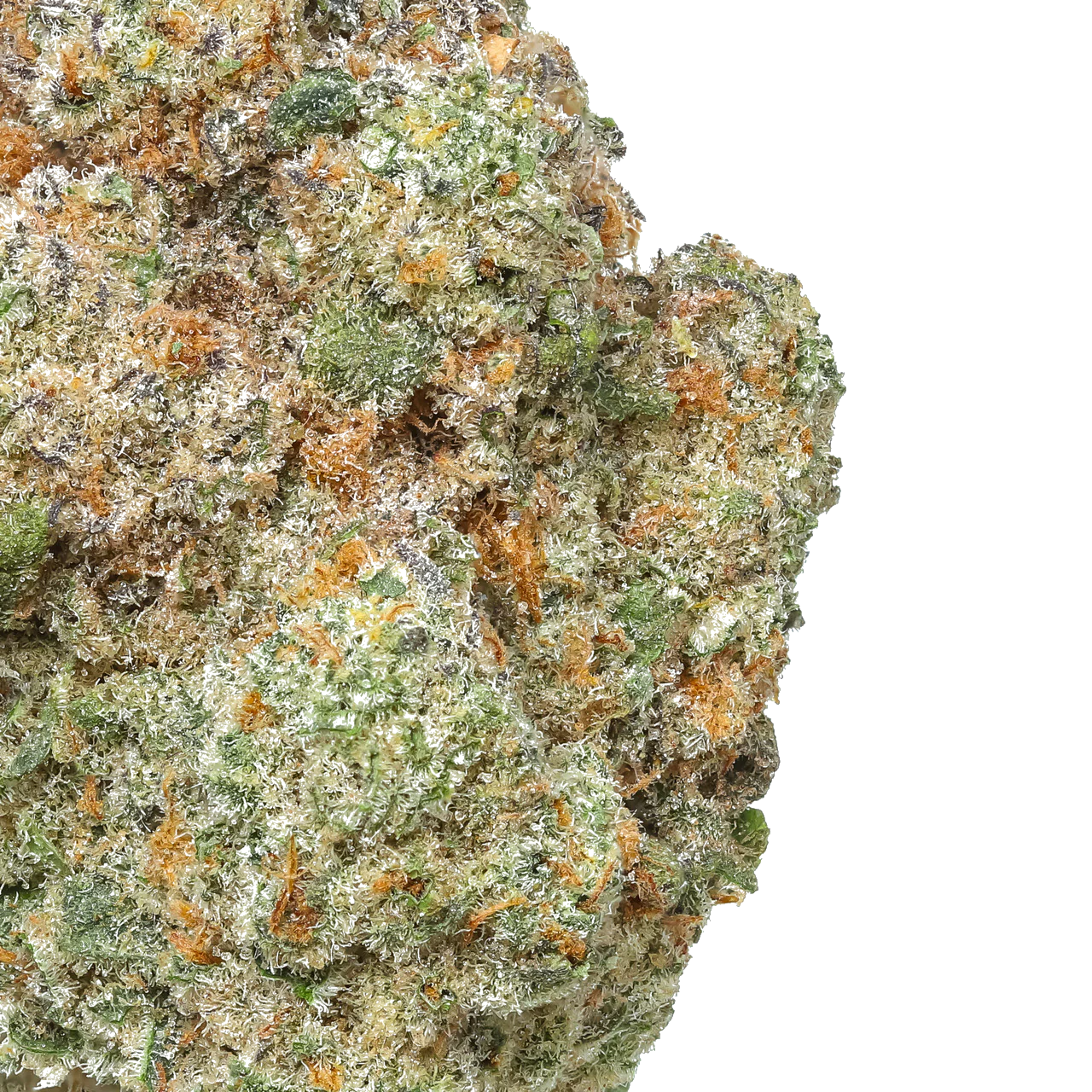 CAP Junky
