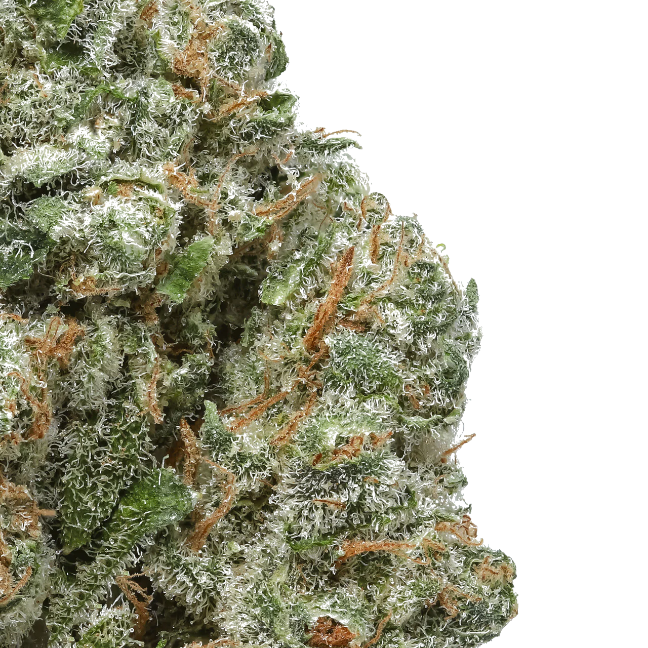 CAPS Chem Chillz