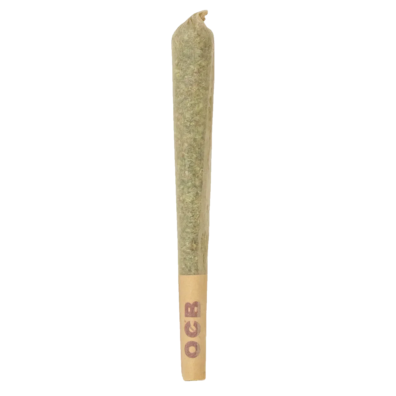 CBD pre-roll joint with OCB filter on white background