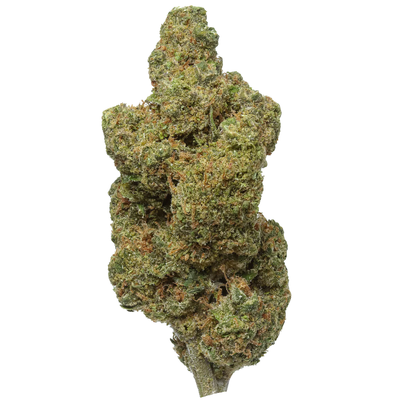 Durban Poison