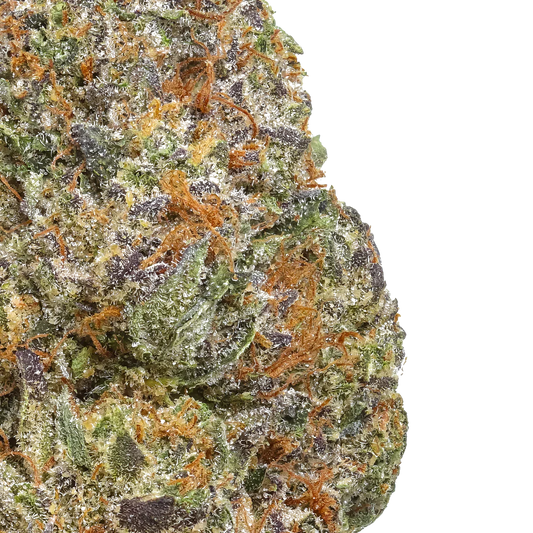 Close-up of Gelato Cake cannabis bud with frosty trichomes and orange hairs
